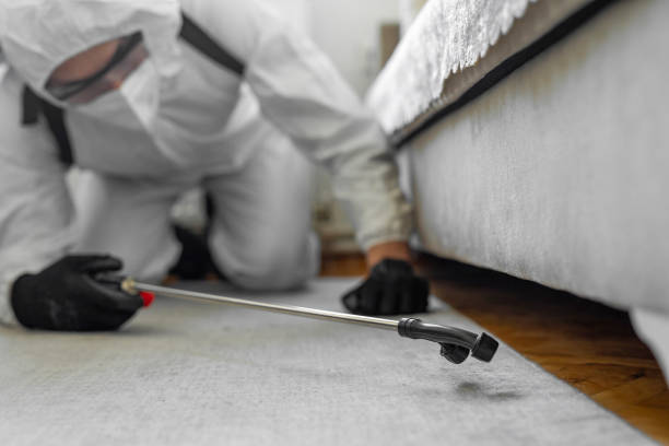 Professional Mosquito Control technician working in Marcus, IA